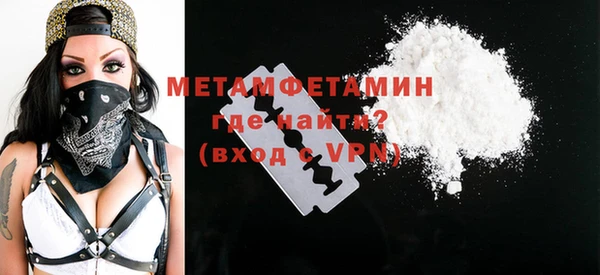 ГАЛЛЮЦИНОГЕННЫЕ ГРИБЫ Дмитриев