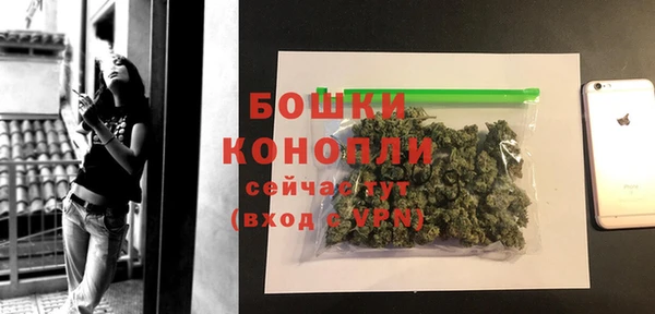 шишки Чекалин