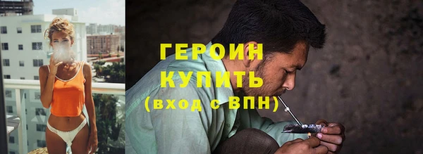 ГАЛЛЮЦИНОГЕННЫЕ ГРИБЫ Дмитриев