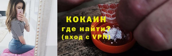 ГАЛЛЮЦИНОГЕННЫЕ ГРИБЫ Дмитриев