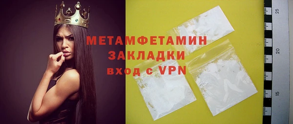 ГАЛЛЮЦИНОГЕННЫЕ ГРИБЫ Дмитриев
