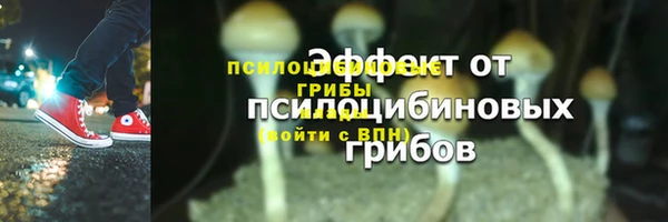стафф Кирсанов