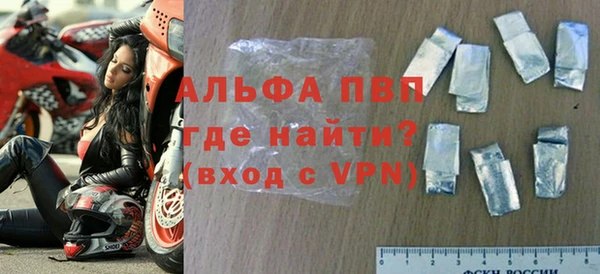 стафф Кирсанов