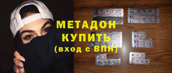 ГАЛЛЮЦИНОГЕННЫЕ ГРИБЫ Дмитриев